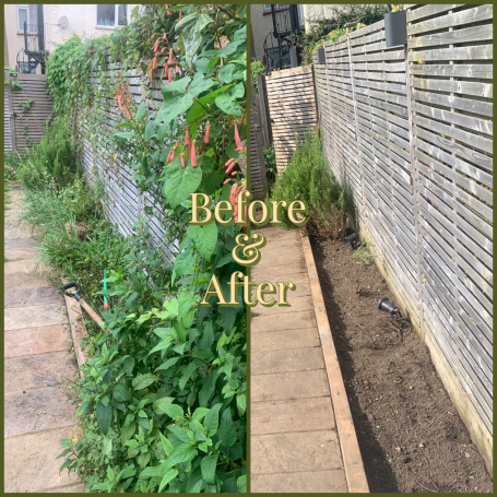 overgrown bed before and after