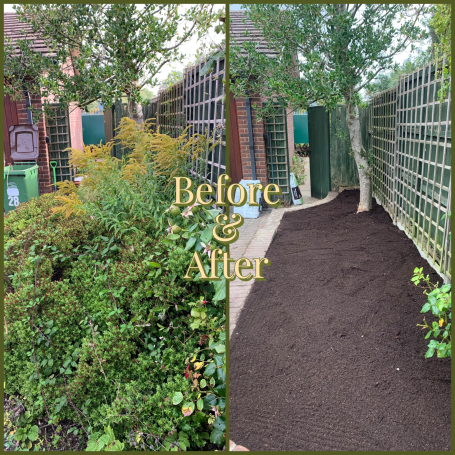 Before and After bush removal